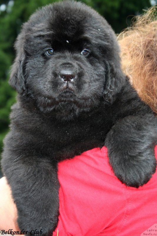 Фотография № 192356