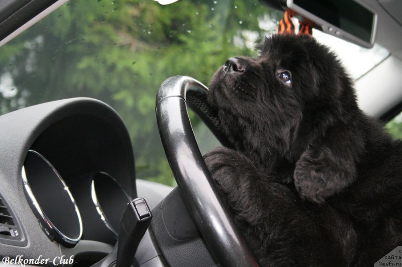 Фотография № 192358