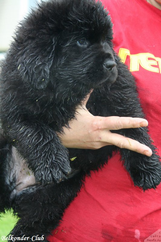 Фотография № 192359