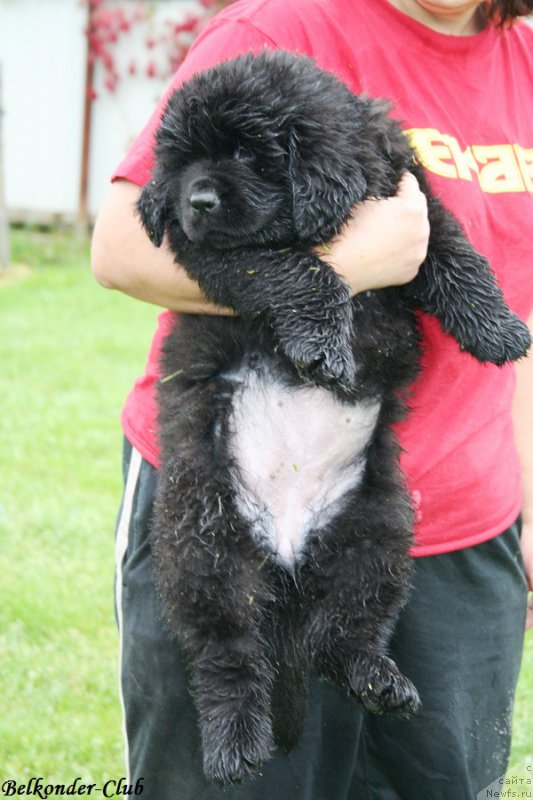 Фотография № 192361