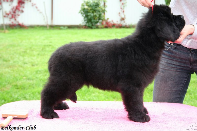 Фотография № 192367