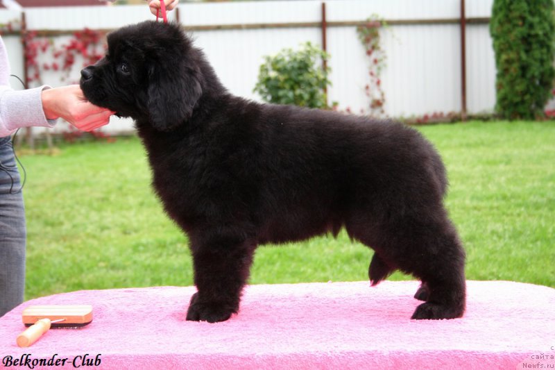 Фотография № 192369