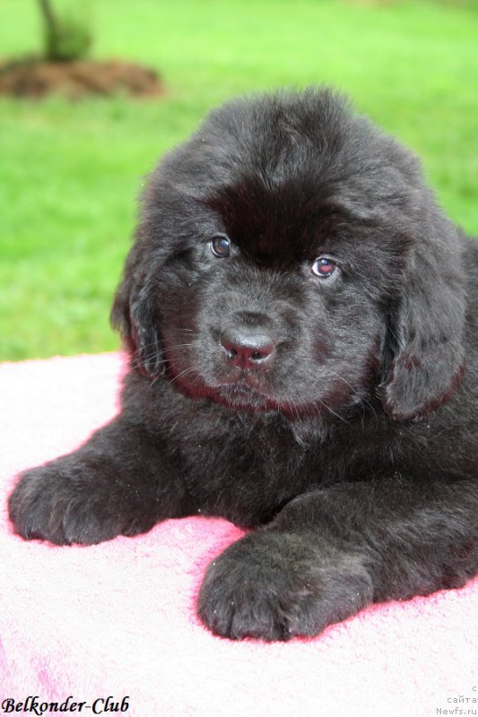 Фотография № 192373