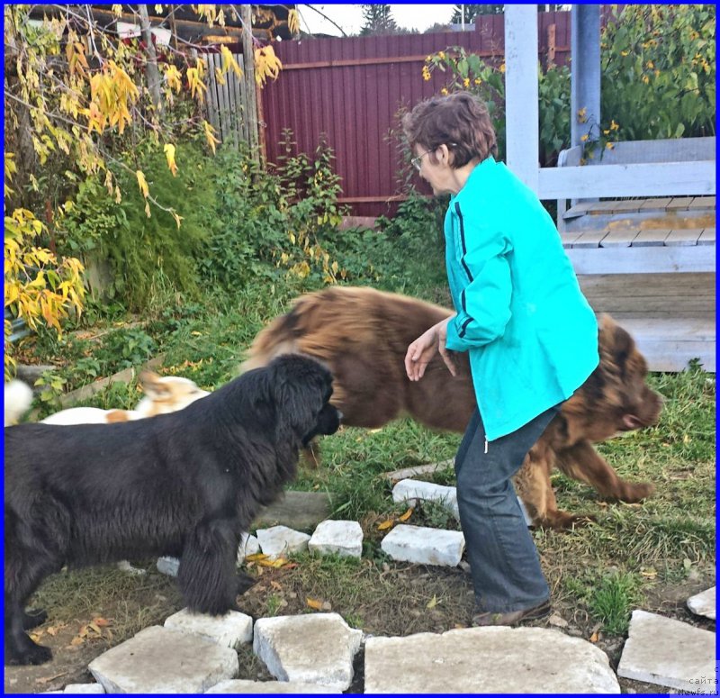 Фотография № 192387