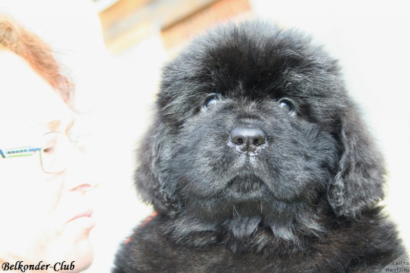 Фотография № 192403