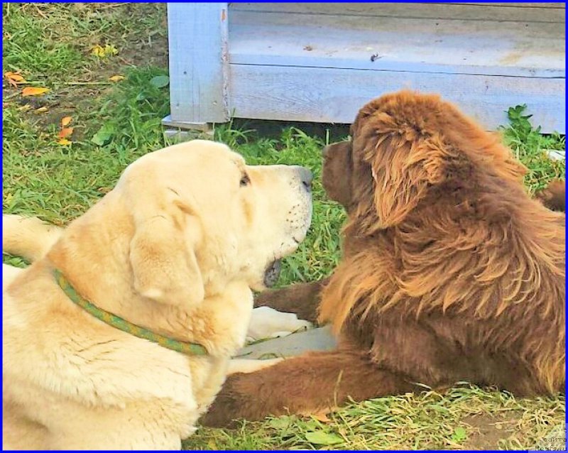 Фотография № 192423