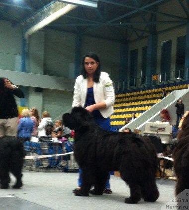 Фотография № 192426