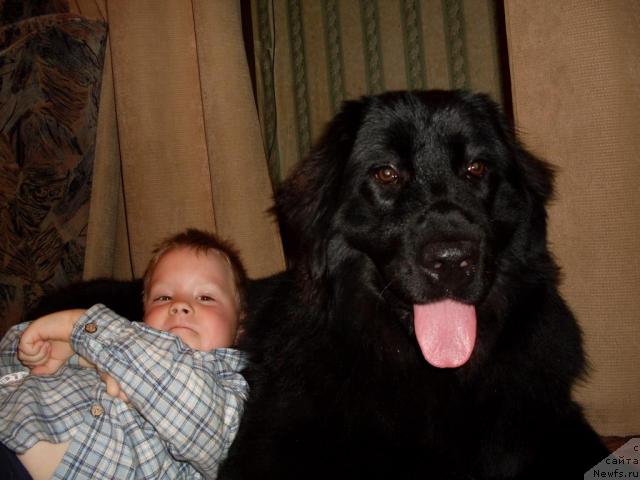 Фотография № 19243