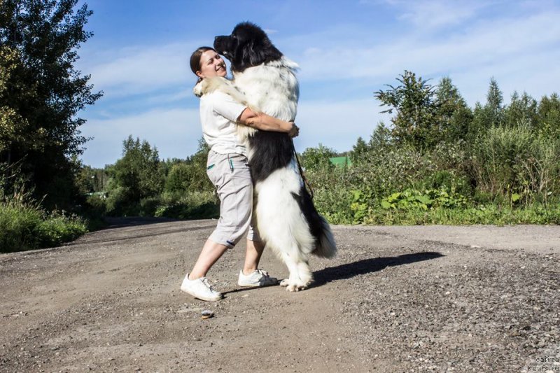 Фотография № 192436