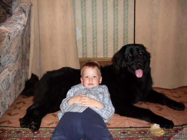 Фотография № 19244