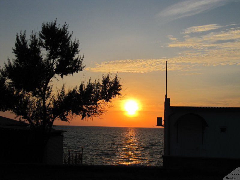 Фотография № 192447