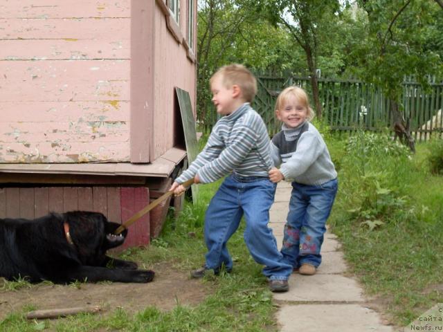 Фотография № 19245