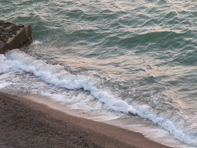 Фотография № 192459