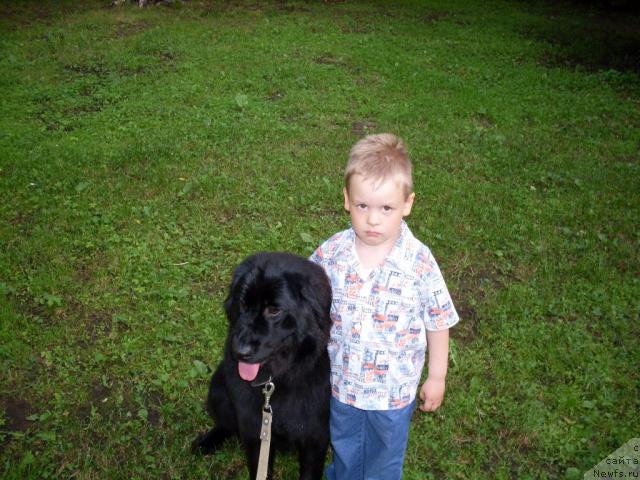 Фотография № 19246