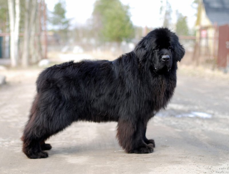 Фотография № 192468