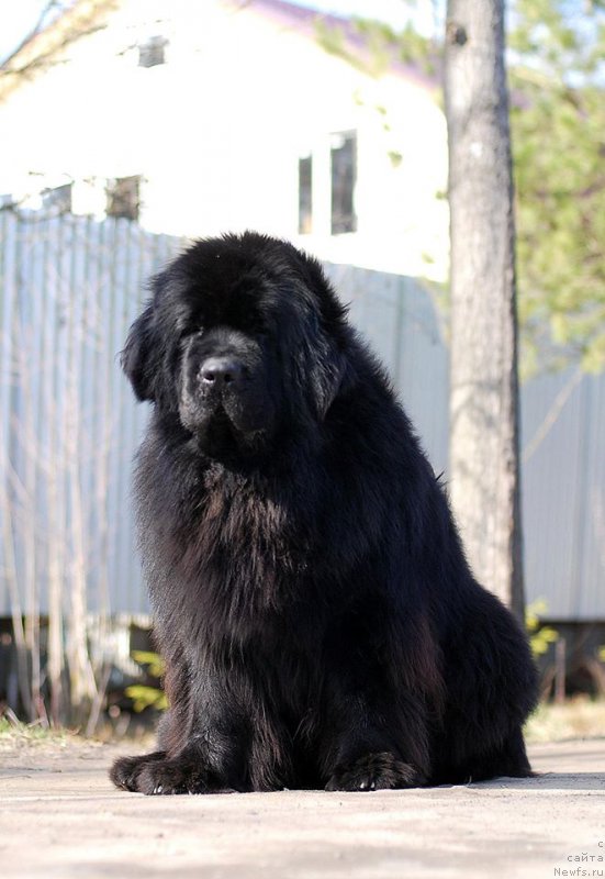 Фотография № 192469