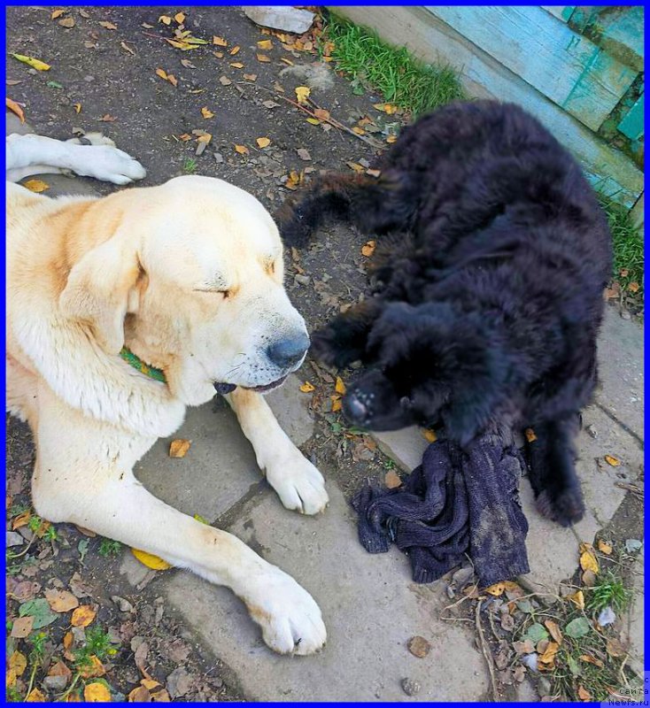 Фотография № 192470