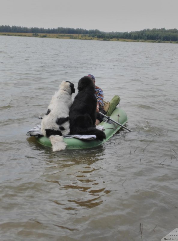 Фотография № 192475