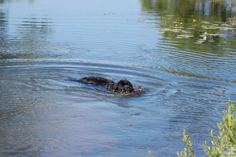 Фотография № 192494