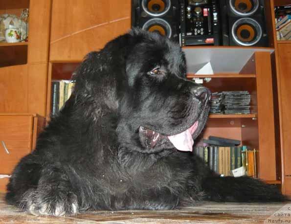 Фотография № 19250