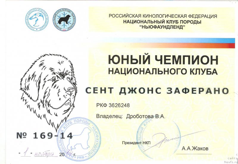 Фотография № 192509