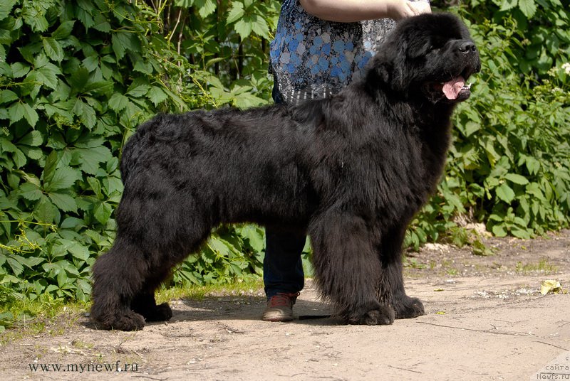 Фотография № 192512