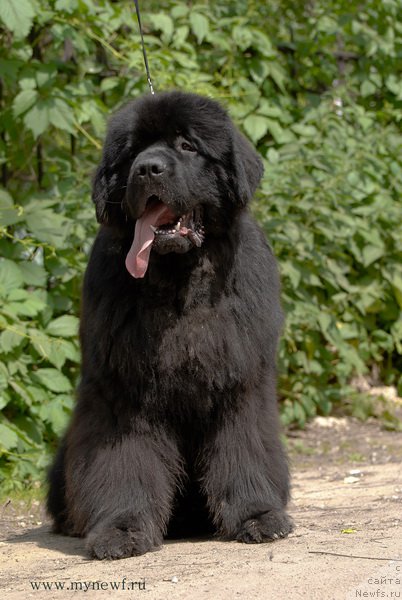 Фотография № 192513