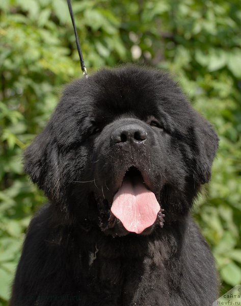 Фотография № 192514