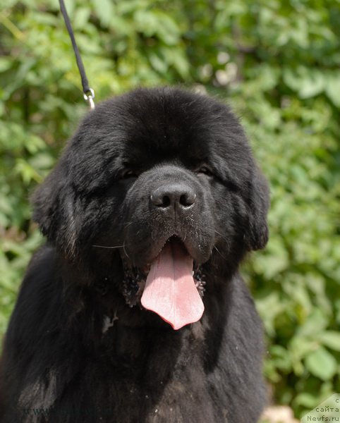 Фотография № 192515