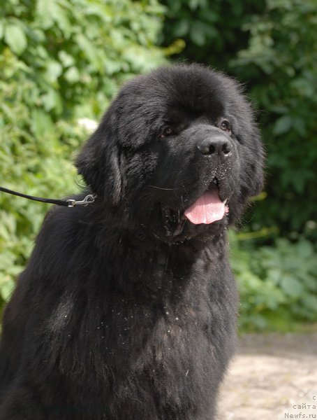 Фотография № 192517