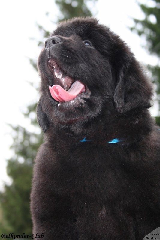 Фотография № 192533