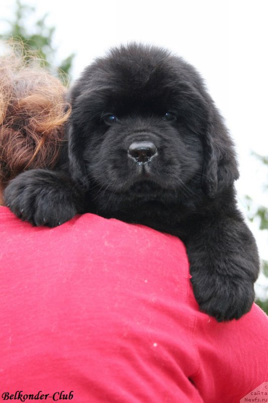 Фотография № 192535