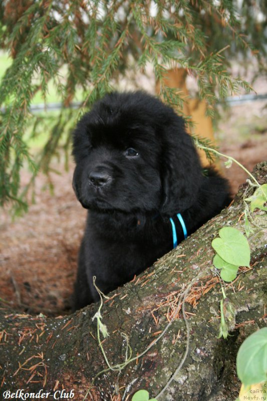 Фотография № 192536