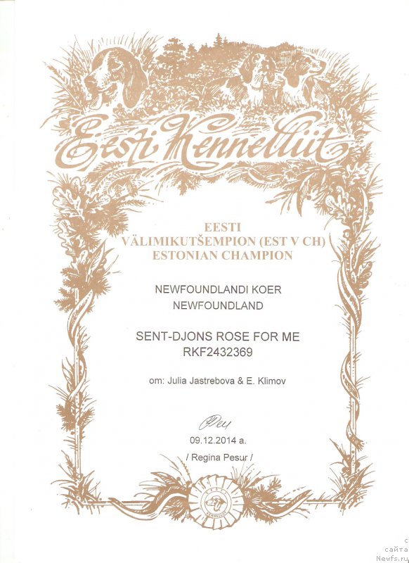 Фотография № 192537