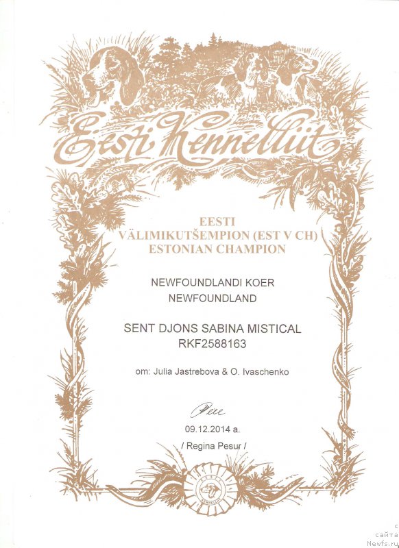 Фотография № 192538