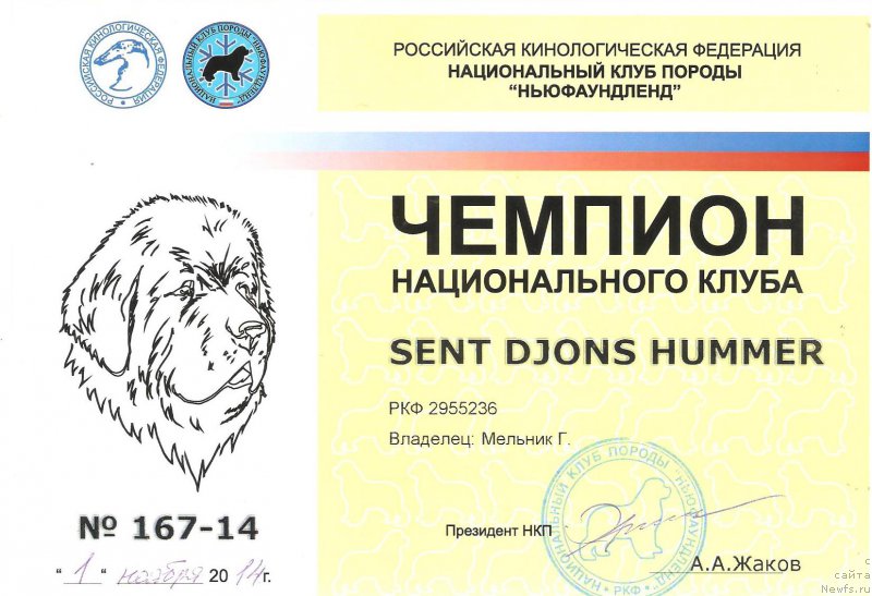 Фотография № 192540