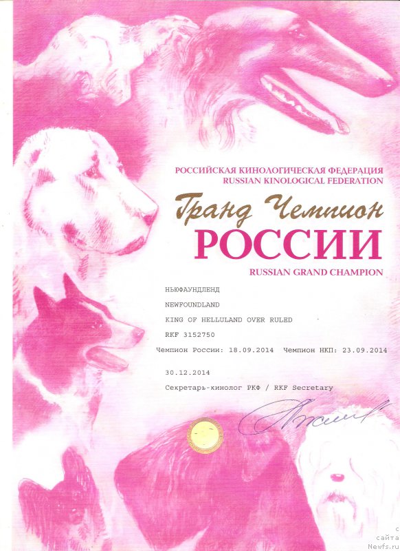 Фотография № 192542