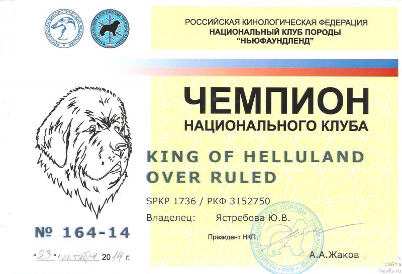 Фотография № 192543