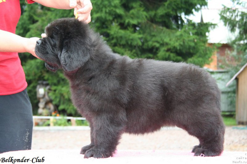 Фотография № 192547