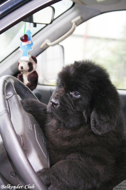 Фотография № 192557