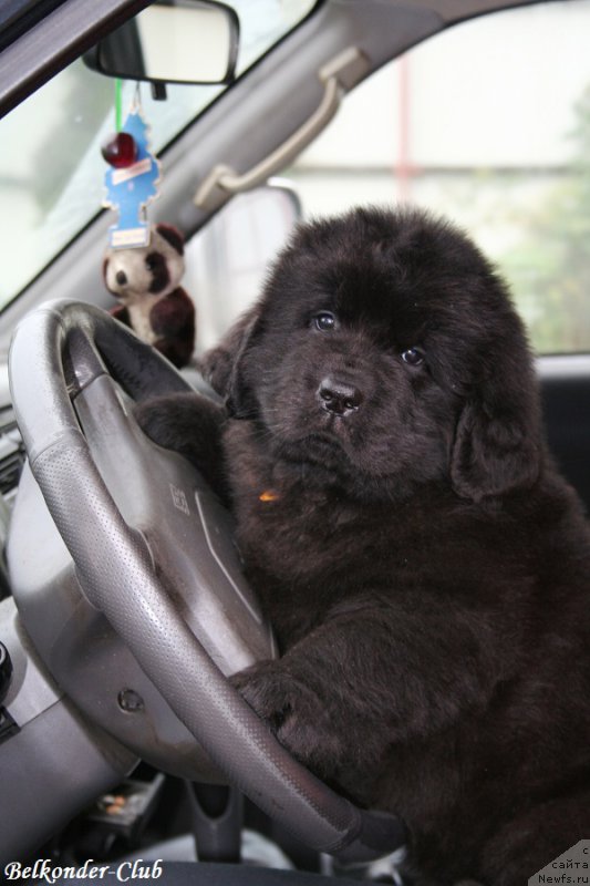 Фотография № 192559