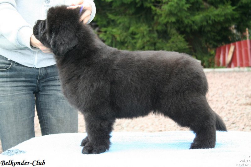 Фотография № 192562