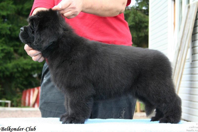 Фотография № 192571