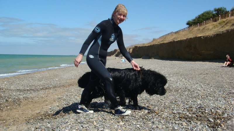 Фотография № 192589