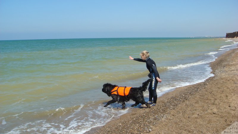 Фотография № 192591