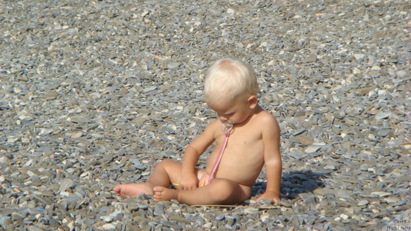 Фотография № 192595