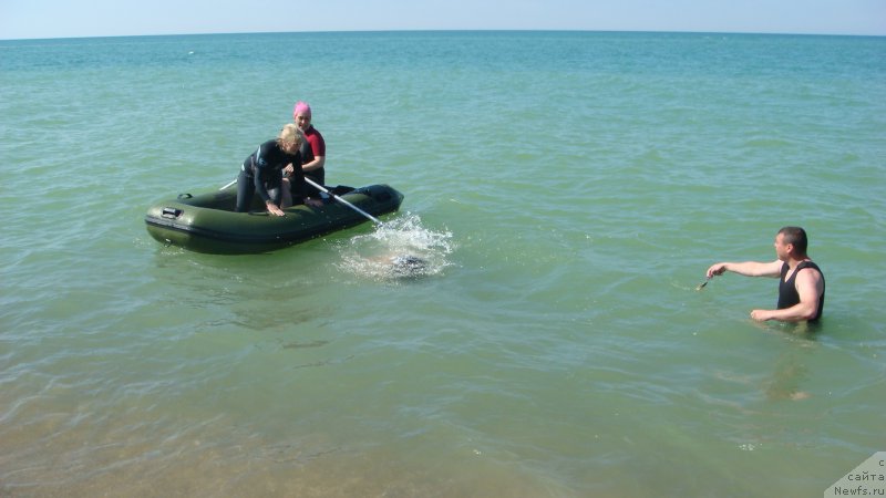 Фотография № 192596