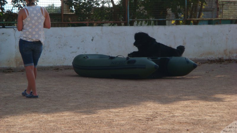 Фотография № 192597