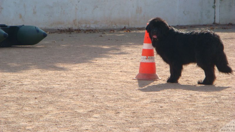 Фотография № 192598