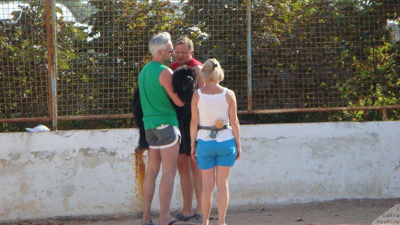 Фотография № 192599